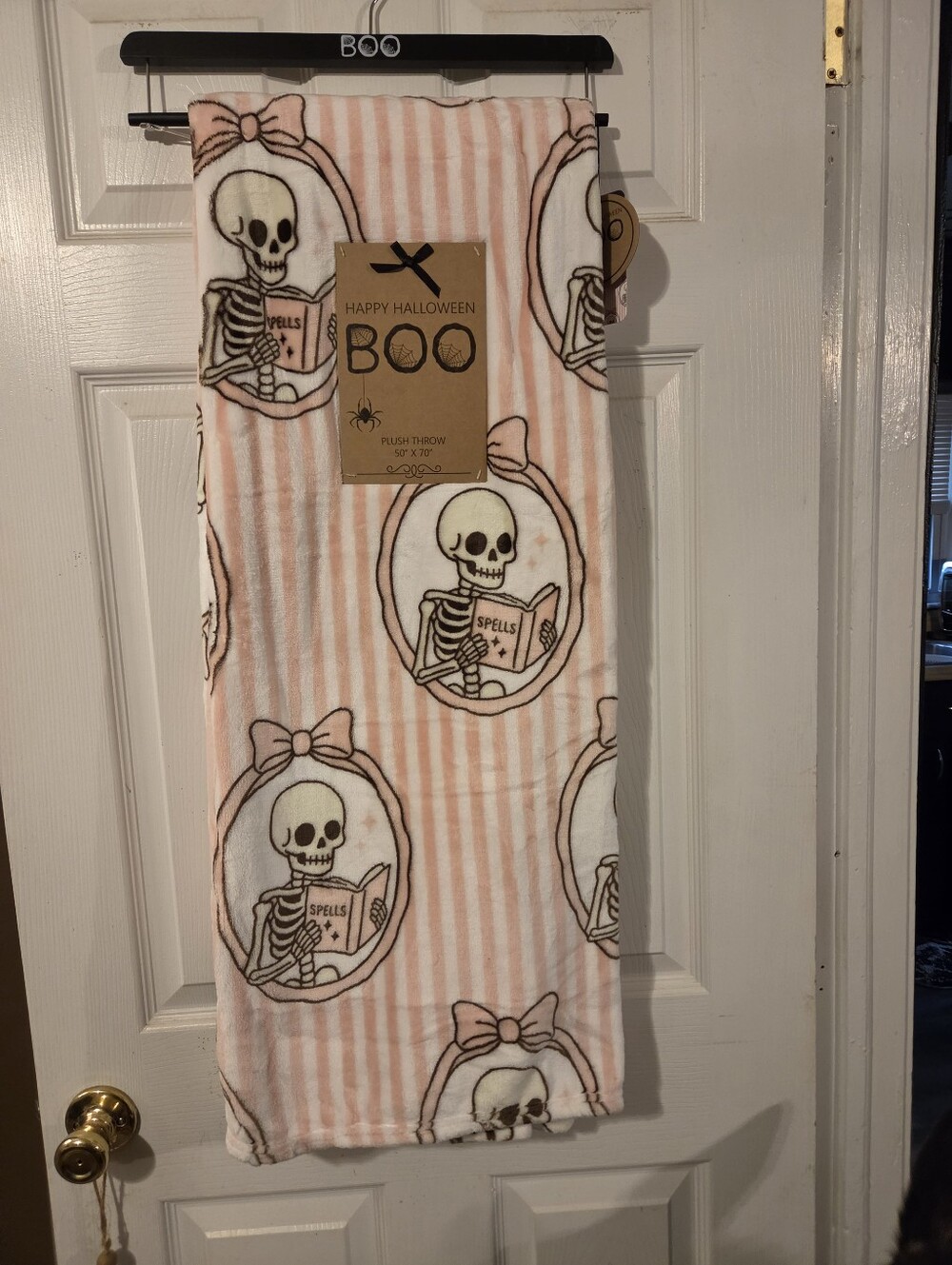 Reading Skeleton NWT 50 × 70 Inch Plush Striped Throw